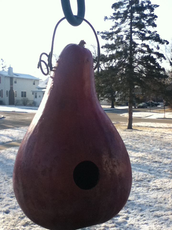 bird house