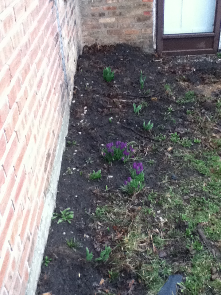 spring dirt